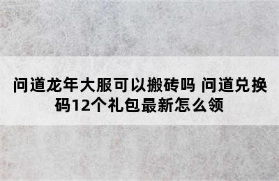 问道龙年大服可以搬砖吗 问道兑换码12个礼包最新怎么领